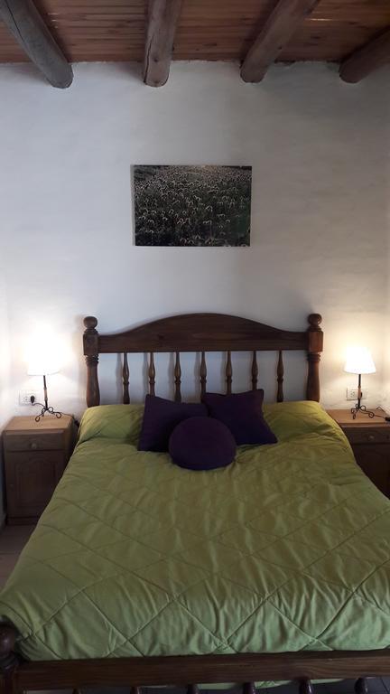 Samadi Hostel אוספז'טה מראה חיצוני תמונה